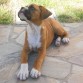 Muy travieso y hermoso!!